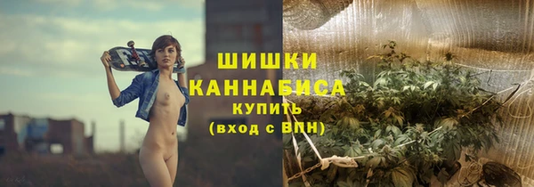 винт Богданович