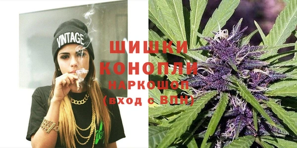 гидра Бронницы