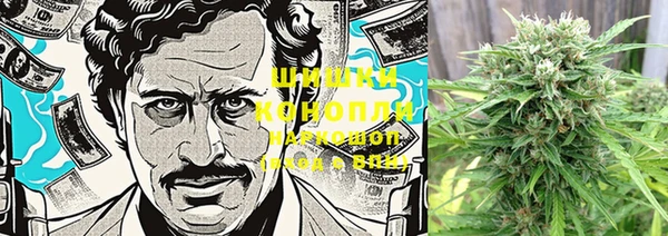 винт Богданович
