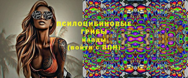 стафф Богородицк