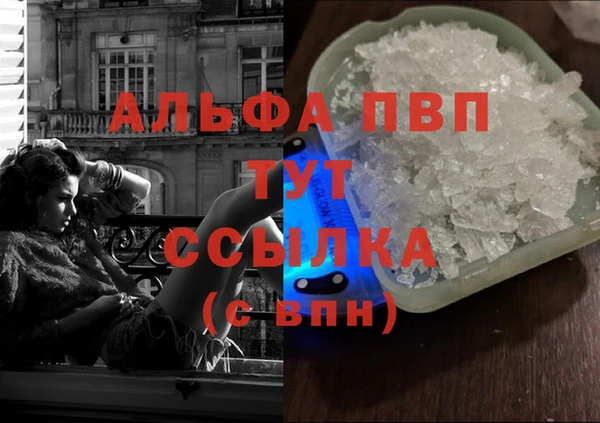 стафф Богородицк
