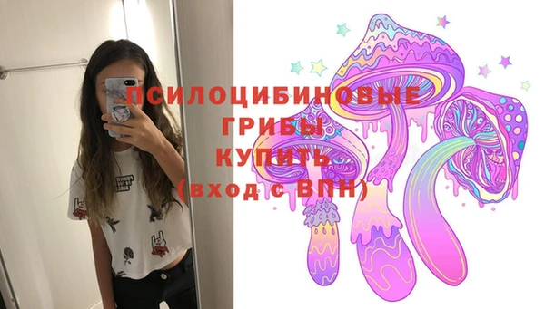 винт Богданович