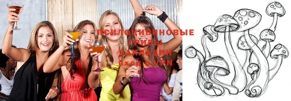 винт Богданович