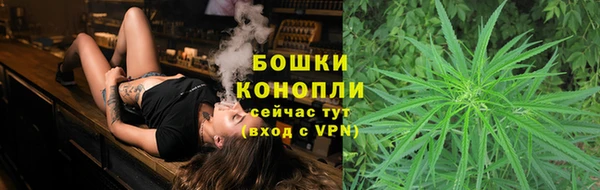 винт Богданович