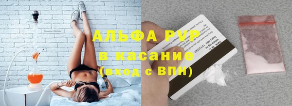 стафф Богородицк